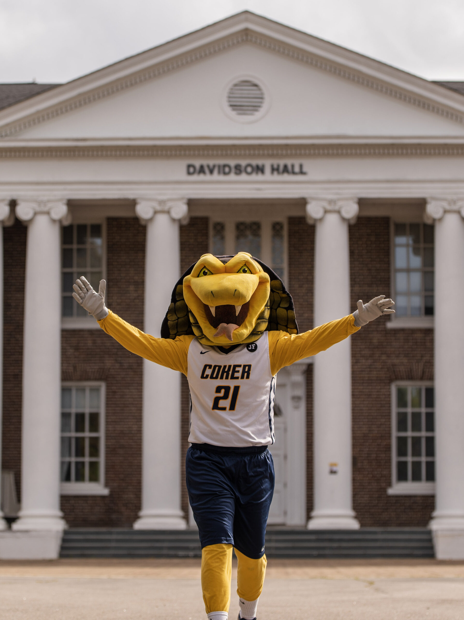 Striker the Cobra holds his arms out in front of Davidson Hall.